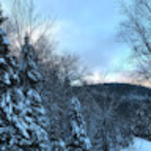 Meet your Posher, Renee